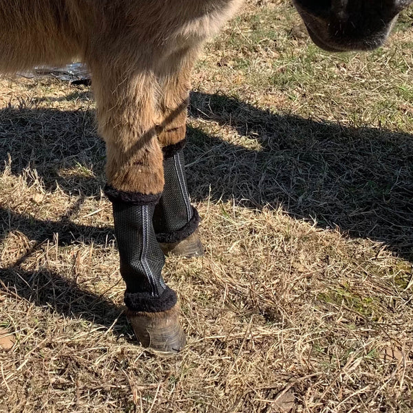 Fly Bye Wrap Natural Fly Repellent for Miniature Horses Donkeys