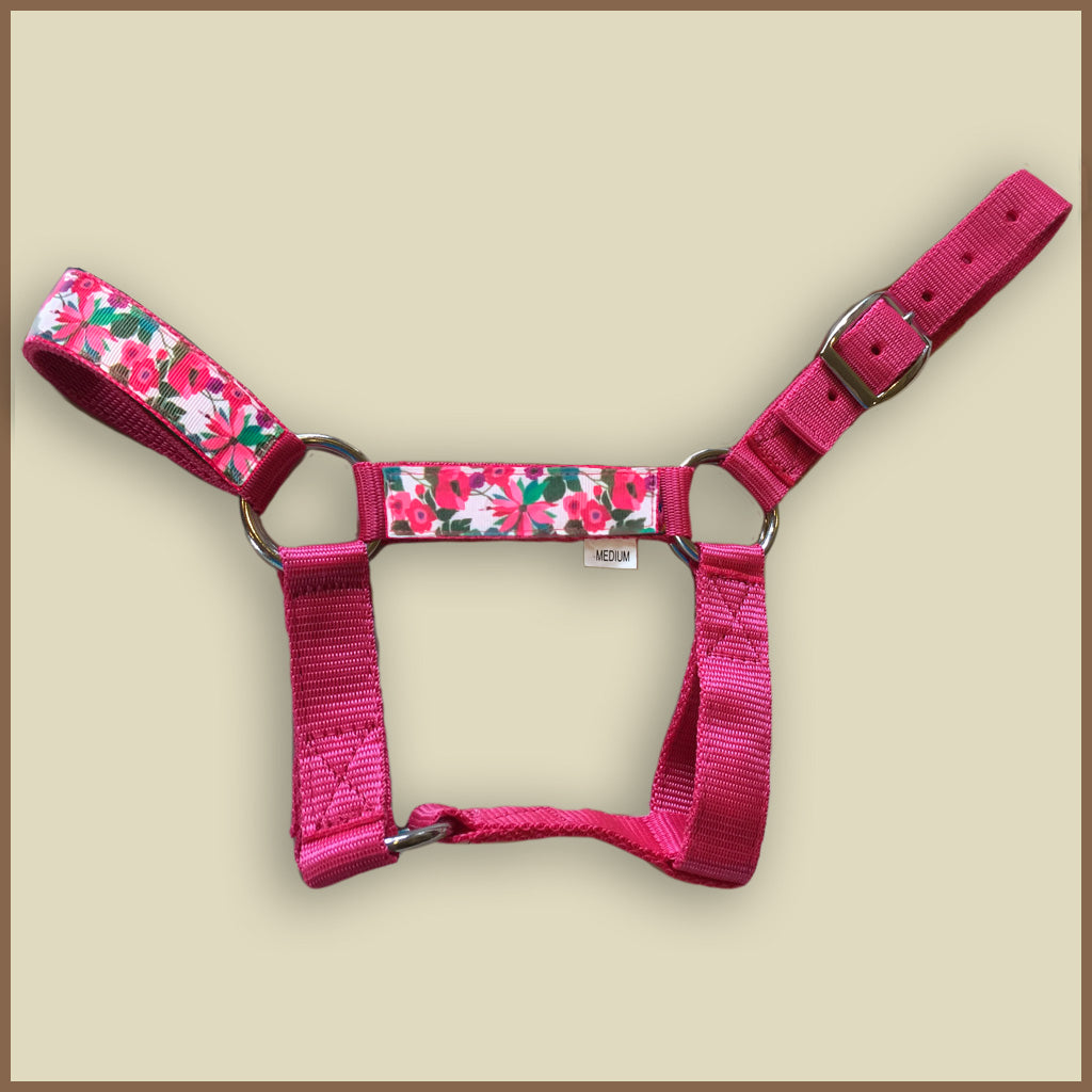 Miniature Donkey Halter